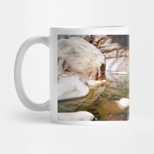 rli reflection Mug